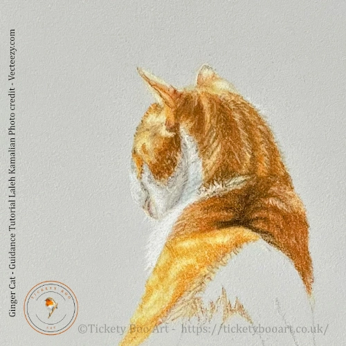 Ginger cat drawn in coloured pencil