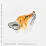 Fox in Coloured Pencil