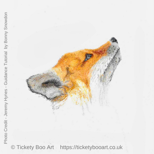 Fox in Coloured Pencil