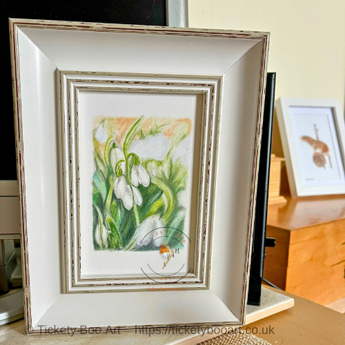 snowdrops drawn in coloured pencil