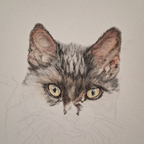 Scary Black Cat – WIP